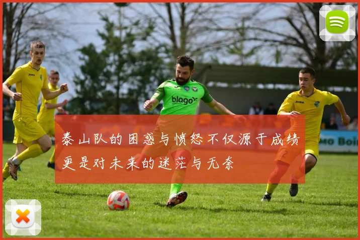 泰山队的困惑与愤怒不仅源于成绩更是对未来的迷茫与无奈